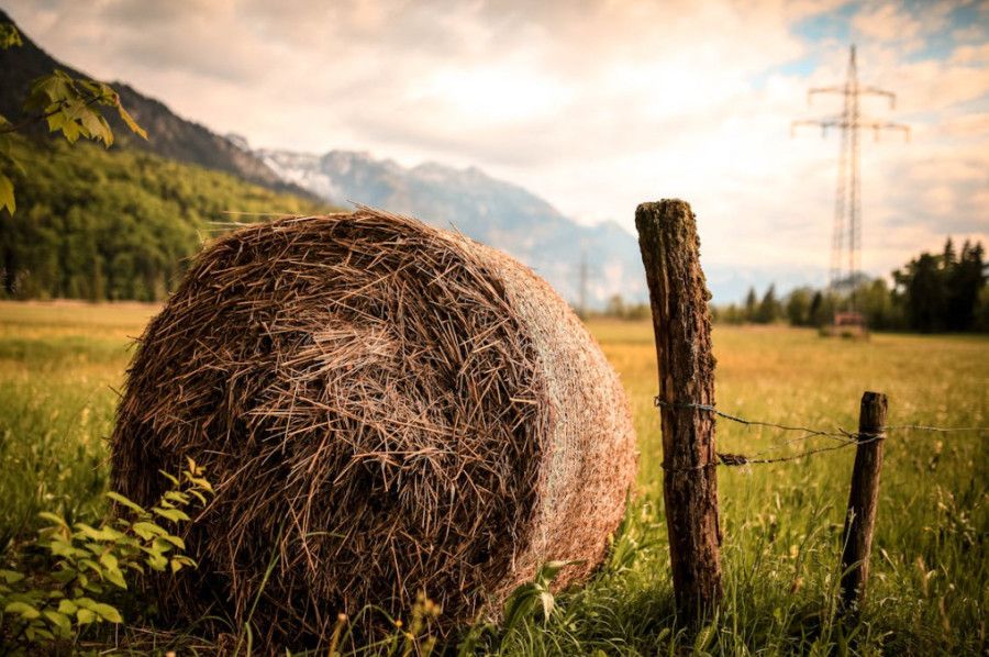 Große Rundballen aus Heu auf einer Wiese mit Holzzaun und Strommast im Hintergrund vor Berglandschaft