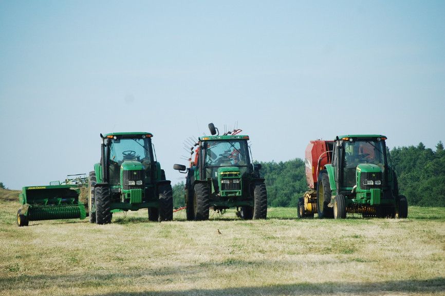 Drei grüne Traktoren stehen nebeneinander auf einem Feld mit Wald im Hintergrund